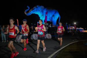 BIB: 
                            <button type="button" onclick="openModal(26551882)" class="btn btn-primary btn-sm float-right btn-popup" data-toggle="modal" data-target=".modal-high-quality">
                        <i class="fas fa-shopping-cart"></i> Add to Cart
                    </button>
                                            <button type="button" onclick="isThisMe(26551882, true)" class="btn btn-success btn-sm float-right btn-popup btn-isme hidden" data-toggle="tooltip" data-placement="bottom" title="นี่คือรูปของคุณใช่ไหม คลิกที่นี่เพื่อเอาเข้าอัลบั้ม">
                        <i class="fas fa-plus"></i> Add to album
                    </button>
                    <button type="button" onclick="isThisMe(26551882, false)" class="btn btn-warning btn-sm float-right btn-popup btn-isnotme hidden">
                        <i class="fas fa-ban"></i> Remove from album
                    </button>